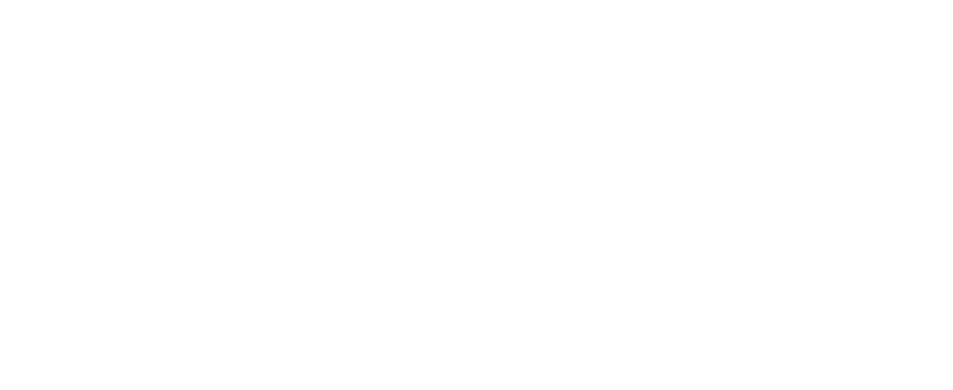 Loanbiz